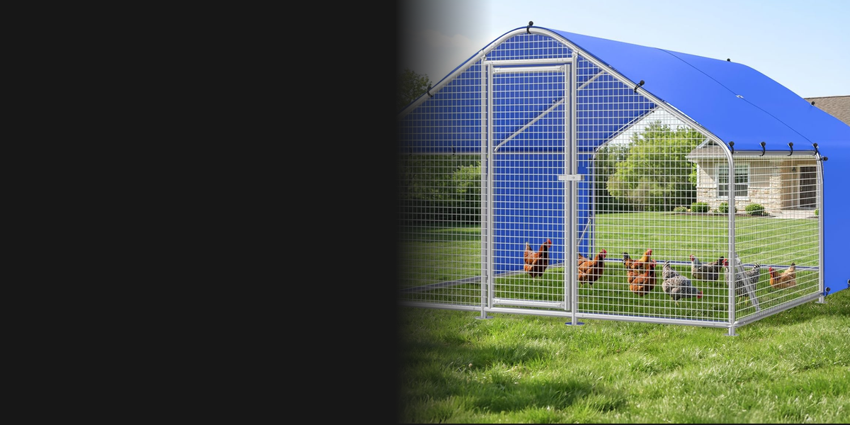 Chickens inside a walk-in metal chicken coop on a lawn