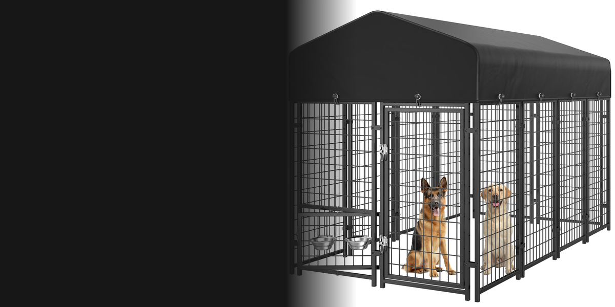 Two dogs sitting inside a covered outdoor metal dog kennel